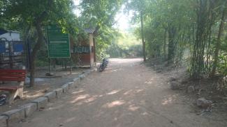 Entrée de la forêt