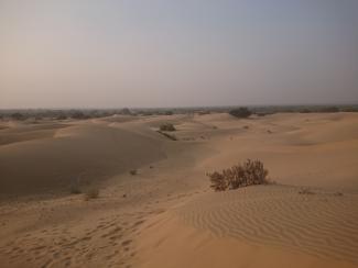 Dune de sable